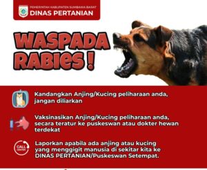 Dinas Pertanian Sumbawa Barat Sampaikan Tiga Langkah Penanganan Jika Digigit Binatang Rabies