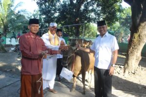 Danrem 162 : Serahkan Bantuan Hewan kurban sebagai bentuk kerukunan umat beragama