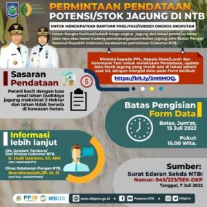 Permintaan Pendataan Potensi Atau Stock Jagung di NTB