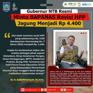 Gubernur NTB Minta BAPANAS Revisi HPP Jagung Menjadi Rp. 4.400