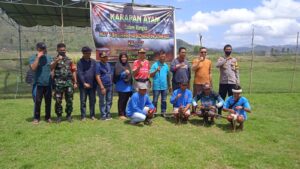 Kaerifan Lokal Karapan Ayam Digelar Kodim 1628/SB Meriahkan HUT TNI Ke 77