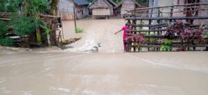 Luapan Air Menerjang Permukiman di Desa Cendi Manik Lobar, Gagal Panen Menghantui