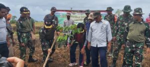 Kodim 1628/SB Tanam Pohon dan Jagung, Dukung Ketahanan Pangan dan Jaga Kelestarian Alam
