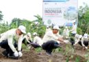 Komitmen Jaga Lingkungan, PLN Indonesia Power PLTU Jeranjang Tanam 800 Pohon