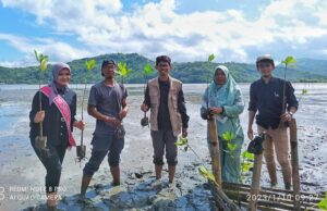 Peringati Hari Gerakan Sejuta Pohon, UMMAT Tanam 1.000 Manggrove di Lobar
