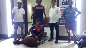 Diduga Curi 6 Ekor Kambing Warga, Polisi Amankan Pria Asal Kilo Dompu