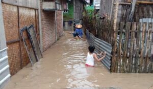 30.000 Jiwa dan 205 Ha Sawah Terdampak Banjir Taliwang