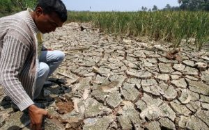 Siap-siap, NTB Akan Alami Kekeringan Panjang, Simak Daerah Mana Saja