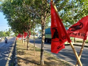 Bendera PDIP Merahkan Kota Mataram Sambut Ganjar, Ketua DPD Yakin di NTB Pasti Menang