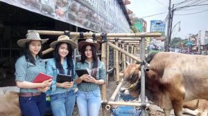 Dugaan Asuransi Sapi Melalui Jasindo Bodong, Munawir : Para Peternak Tidak Mau Urus