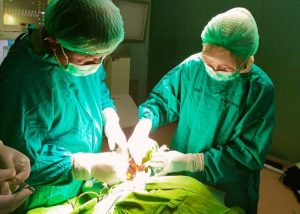 Dukung Layanan Spesialis Gigi Terpadu, RSUD Provinsi NTB Siapkan Layanan Dental Center