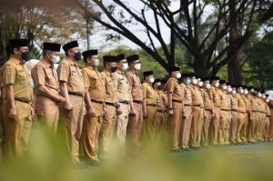 Pemerintah Buka Lowongan CPNS-PPPK September 2023, Untuk 1,030 Juta Formasi