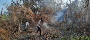 Polisi Padamkam Kebakaran Hutan di Lahan Tebu Seluas 1,5 Hektar di Dompu, Ternyata Ini Penyebab nya