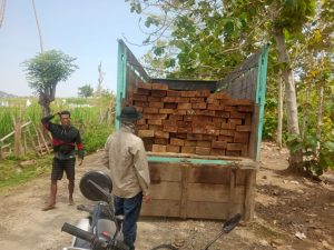 Operasi Gabungan Illegal logging di Alas Sumbawa Sering Gagal, Diduga Dibocorkan Oknum KPH