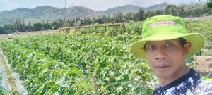 Mengenal Alimuddin, Petani Inspiratif dari Desa Seloto, Tekadnya Kembangkan Potensi Lokal