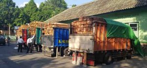 Cukong Mafia Illegal Logging Dari Luar NTB Diduga Berkeliaran Bebas di Dompu, Pengusaha Lokal Kena Imbas