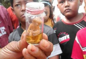 Ini Alasan Tuyul Tidak Mencuri Uang di Bank, Hanya Beraksi Dari Rumah ke Rumah