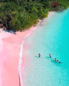 Aneka Warna Pantai di Lombok Yang Jadi Daya Tarik, Nomor 5 Paling Indah