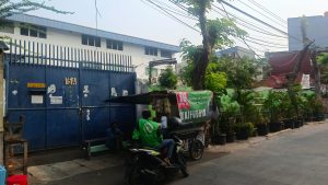 Ribuan Karyawan Polo Ralph Lauren Yang Terancam PHK Ternyata Diduga Rekayasa