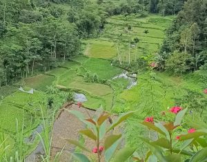 Lembah Datu Pringgarata, Destinasi Alam Penuh Tantangan Untuk Pecinta Outdoor, Yuk Cek Paket Wisatanya!