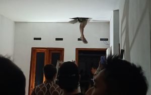 Na’as, Pria di Sumbawa Barat Tewas Kesetrum Saat Instalasi Listrik di Sebuah Perumahan
