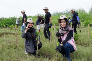 Peringati HMPI 2024, PLN Indonesia Power UBP Jeranjang Bersama Mitra Tanam Mangrove di Pantai Cemara