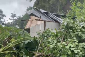 Hati-hati Cuaca Ekstrem, Angin Kencang di Lombok Barat Rusak Rumah dan Pohon Tumbang