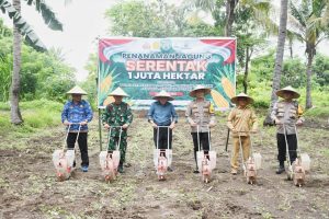 Dukung Swasembada Pangan, Pemda KLU Bersama Polres Tanam Jagung