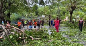 Angin Kencang dan Pohon Tumbang di Jalan Raya KSB, Polres Sumbawa Barat Bersama BPBD Turun Sterilkan