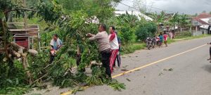 Polsek Poto Tano KSB Bersama Masyarakat Respon Cepat Evakuasi Pohon Tumbang di Jalan Utama
