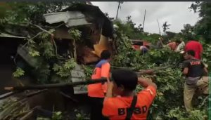 Seorang Pria di Lombok Meninggal Dunia Ditimpa Pohon Saat Angin Kencang