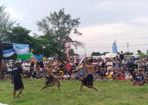 Peresehan Jadi Penutup Pekan Seni Budaya Lombok Utara, Tradisi Mencerminkan Keberanian dan Ketangguhan Masyarakat Sasak