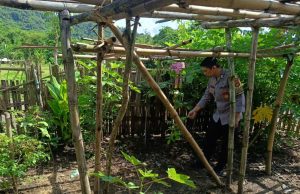 Anggota Polres Sumbawa Barat, Bhabinkamtibmas Desa Tamekan Mengecek Pekarangan Pangan Bergizi Warga Binaan