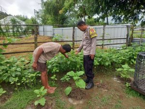 Bhabinkamtibmas Desa Dasan Anyar Monitoring Ketahanan Pangan