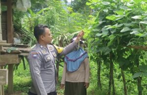Polisi Bukan Sekadar Menjaga Keamanan: Bhabinkamtibmas Seran Bantu Warga Sulap Pekarangan Jadi Kebun Pangan Bergizi