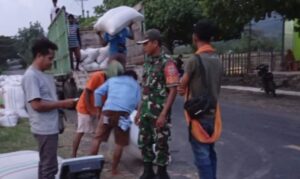 Babinsa Dampingi Penyerapan 10 Ton Gabah oleh Bulog di Dompu: Jamin Harga dan Serap Hasil Panen