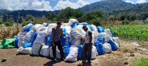 Bhabinkamtibmas Talonang Baru Dampingi Panen Jagung 170 Hektare, Dorong Swasembada Pangan Nasional
