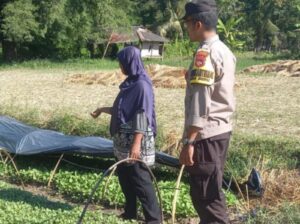 Dukung Swasembada Pangan, Bhabinkamtibmas Desa Beru Bantu Warga Kembangkan Kebun Sayur Mandiri