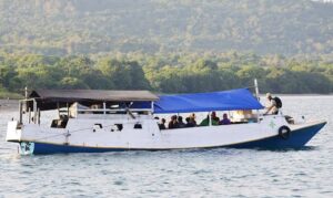 Tiket Rp250 Ribu Per Orang Masuk Taman Nasional, Tapi Moyo Tak Dapat Apa-Apa: Warga Pertanyakan Uang Retribusi ke Mana?