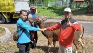 Kapan Waktu Terbaik untuk Berkurban? Ini Penjelasan Ulama: Kurban Punya Makna Mendalam