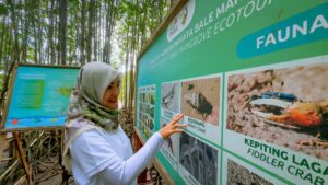Momentum Hari Lingkungan Hidup, PLN UIW NTB Raih Penghargaan TOP CSR Awards 2025 Berkat Inovasi Sosial Berkelanjutan