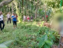 Geger! Pria Muda Ditemukan Meninggal Gantung Diri di Areal Perkebunan