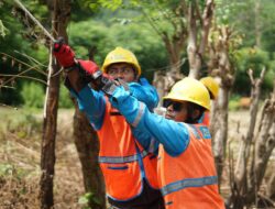 Semangat Kemerdekaan, Liga Yantek PLN NTB Wujudkan Listrik Andal di Seluruh NTB