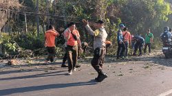 Polsek Tanjung Bersama Damkar dan BPBD Sigap Evakuasi Pohon Tumbang di Jalur Raya Dusun Tembobor Selatan