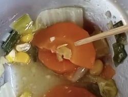 Ulat Ditemukan di Makanan Program MBG di SMPN 1 Empang, Orang Tua Murid Khawatir