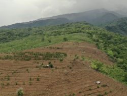 Dugaan Jual Beli SPPT di Kawasan Konsesi Tambang: Pola Lama Terulang di Ropang dan Lenangguar, Sumbawa