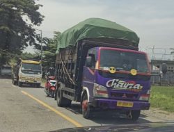 Ketua Aliansi For Justice KSB Sesalkan Batu Bara Tercecer di Jalan: Bahayakan Pengguna Jalan dan Cemari Lingkungan!