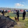Sterilisasi Bandara dan Sirkuit, Polda NTB Nyatakan Lokasi MotoGP Aman