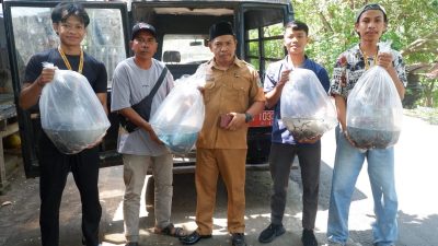 BUMDes Bentek Lepas Ribuan Bibit Ikan untuk Perkuat Ketahanan Pangan Desa