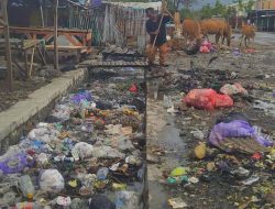 Kota Tepian Air atau Kota Lautan Sampah? Pasar Amahami dan Masjid Apung Bima Dipenuhi Tumpukan Sampah